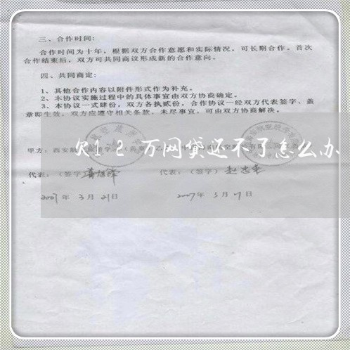欠12万网贷还不了怎么办 欠12万网贷还不了怎么办