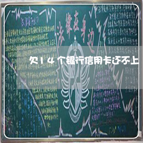 欠14个银行信用卡还不上