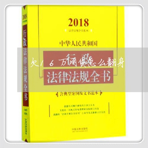 欠16万网贷怎么翻身/2023012989594