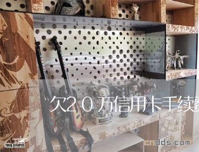 欠20万信用卡手续费多少钱
