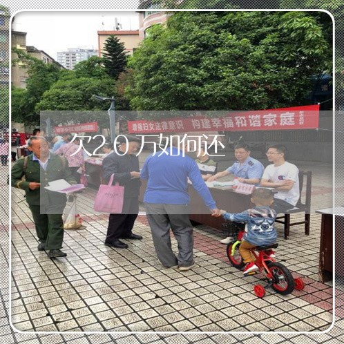 欠20万如何还/2023012148493 欠20万如何还/2023012148493