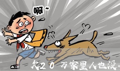 欠20万家里人也没办法还/2023012138473 欠20万家里人也没办法还/2023012138473