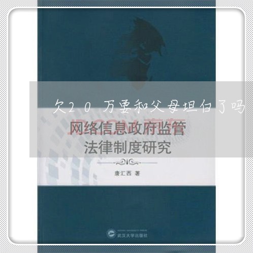 欠20万要和父母坦白了吗/2023022794261
