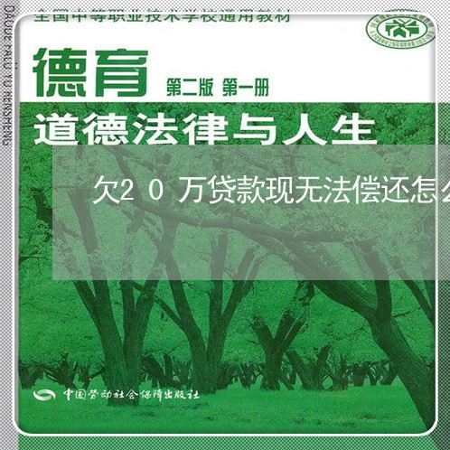 欠20万贷款现无法偿还怎么办