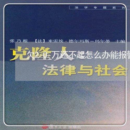 欠20万还不起怎么办能报警吗/2023022867279 欠20万还不起怎么办能报警吗/2023022867279