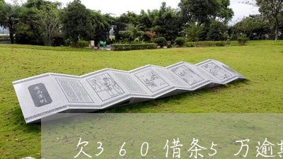 欠360借条5万逾期一年/2023042237482