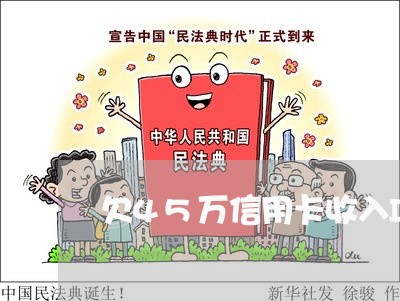 欠45万信用卡收入I5万 欠45万信用卡收入I5万