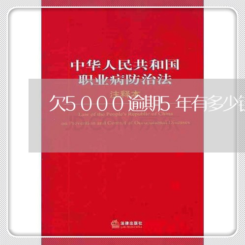 欠5000逾期5年有多少钱