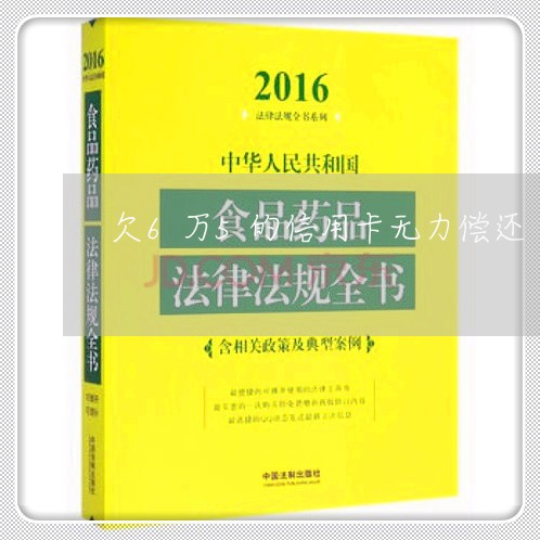 欠6万5的信用卡无力偿还 欠6万5的信用卡无力偿还