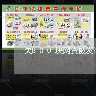 欠800块网贷被发律师函 欠800块网贷被发律师函