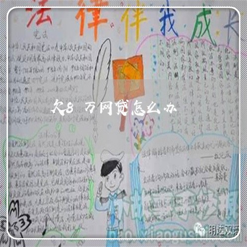 欠8万网贷怎么办/2023011949212