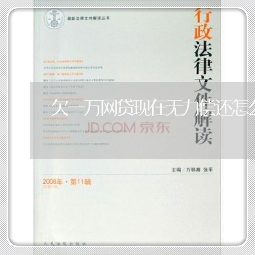 欠一万网贷现在无力偿还怎么办