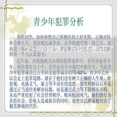欠一个网贷八万块不想还了