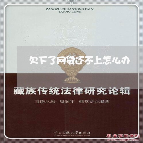 欠下了网贷还不上怎么办/2023100706038