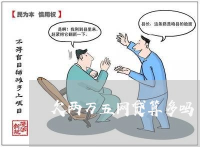 欠两万五网贷算多吗/2023022784491