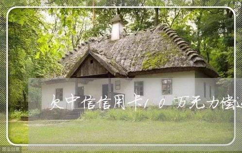 欠中信信用卡10万无力偿还