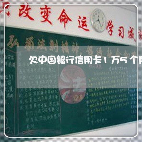 欠中国银行信用卡1万5个月不还
