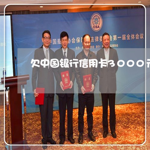 欠中国银行信用卡3000元不还 欠中国银行信用卡3000元不还