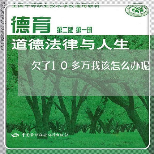 欠了10多万我该怎么办呢/2023030149582 欠了10多万我该怎么办呢/2023030149582