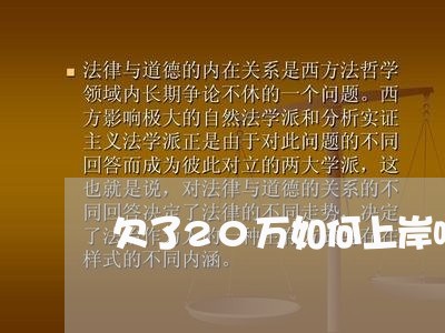 欠了20万如何上岸呢/2023061767362