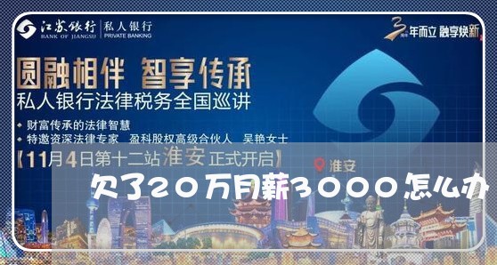 欠了20万月薪3000怎么办/2023021625169