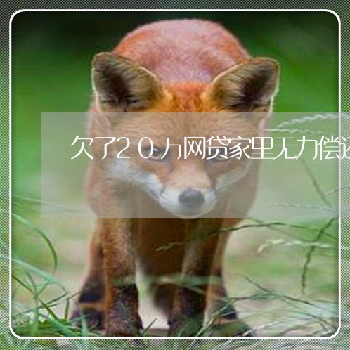 欠了20万网贷家里无力偿还咋办