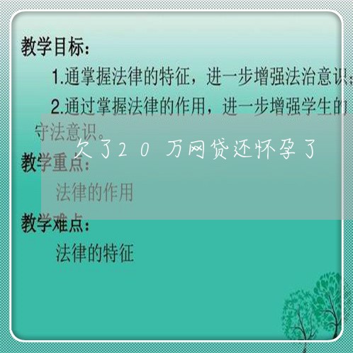 欠了20万网贷还怀孕了