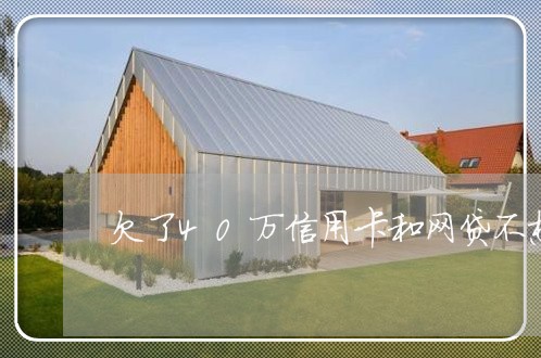 欠了40万信用卡和网贷不想逾期/2023030154051 欠了40万信用卡和网贷不想逾期/2023030154051