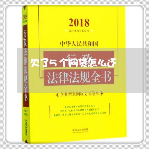 欠了5个网贷怎么还/2023120893926