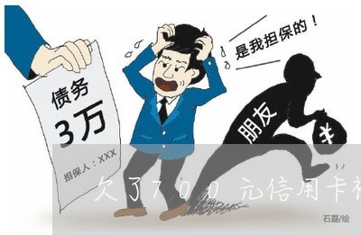欠了700元信用卡被停了