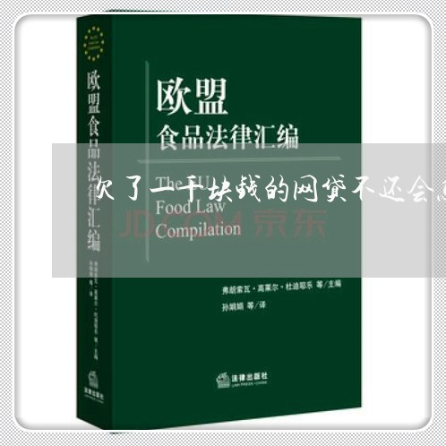 欠了一千块钱的网贷不还会怎样 欠了一千块钱的网贷不还会怎样