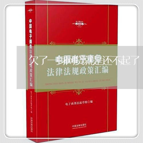 欠了一身网贷就是还不起了 欠了一身网贷就是还不起了