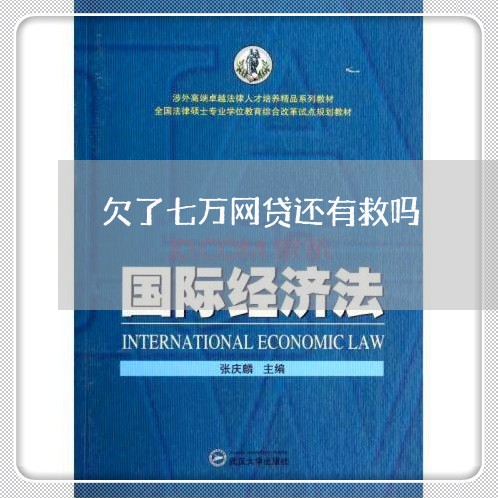欠了七万网贷还有救吗/2023022762648