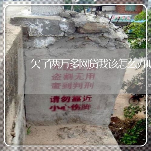 欠了两万多网贷我该怎么办呢 欠了两万多网贷我该怎么办呢
