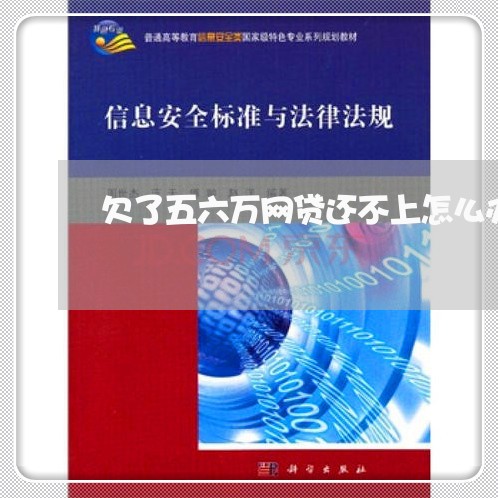 欠了五六万网贷还不上怎么办/2023100737360