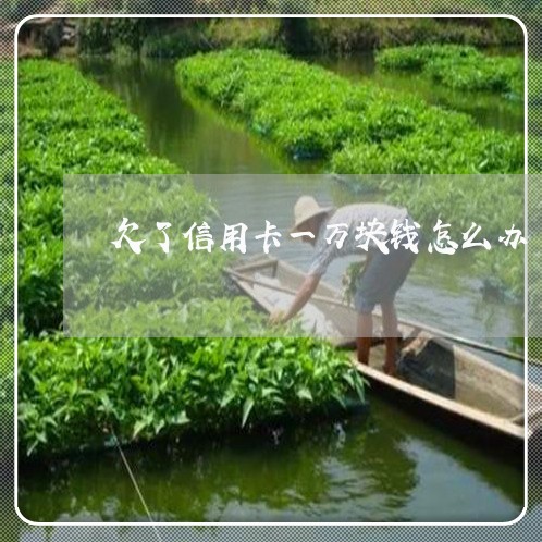 欠了信用卡一万块钱怎么办 欠了信用卡一万块钱怎么办