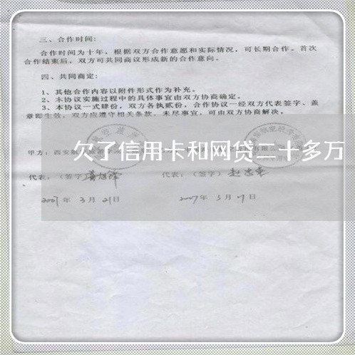 欠了信用卡和网贷二十多万 欠了信用卡和网贷二十多万