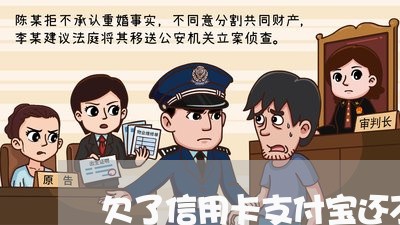 欠了信用卡支付宝还不起怎么办