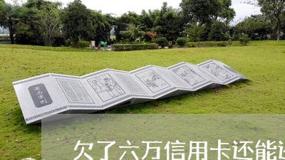 欠了六万信用卡还能还上吗 欠了六万信用卡还能还上吗