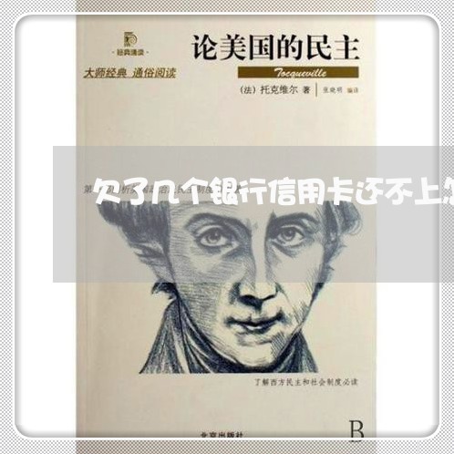 欠了几个银行信用卡还不上怎么办 欠了几个银行信用卡还不上怎么办