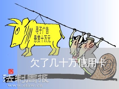 欠了几十万信用卡/2023012257360 欠了几十万信用卡/2023012257360