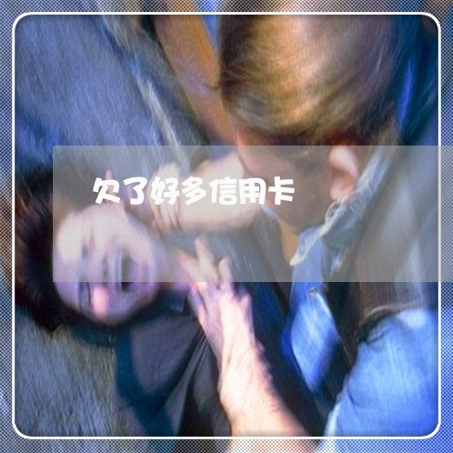 欠了好多信用卡/2023012257160 欠了好多信用卡/2023012257160