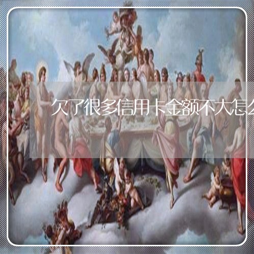 欠了很多信用卡金额不大怎么办