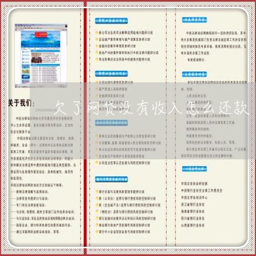 欠了网贷没有收入怎么还款