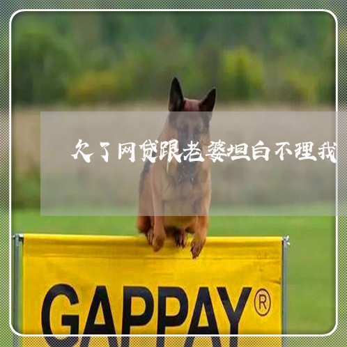 欠了网贷跟老婆坦白不理我 欠了网贷跟老婆坦白不理我