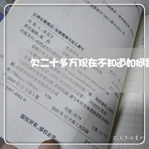欠二十多万现在不知道如何是好/2023012126057 欠二十多万现在不知道如何是好/2023012126057