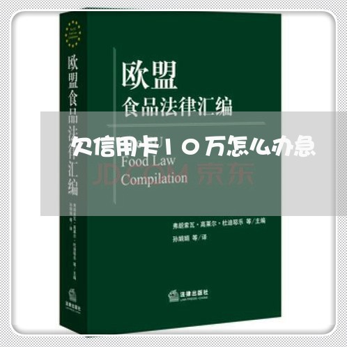 欠信用卡10万怎么办急 欠信用卡10万怎么办急