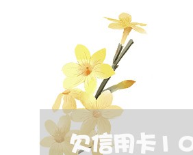 欠信用卡10万法院会划走吗