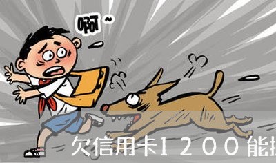欠信用卡1200能投诉吗