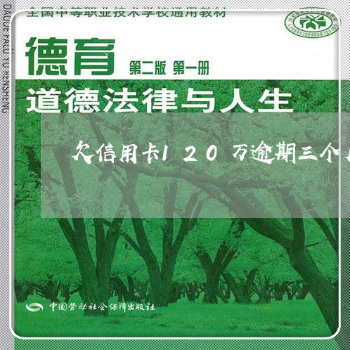 欠信用卡120万逾期三个月/2023032534038